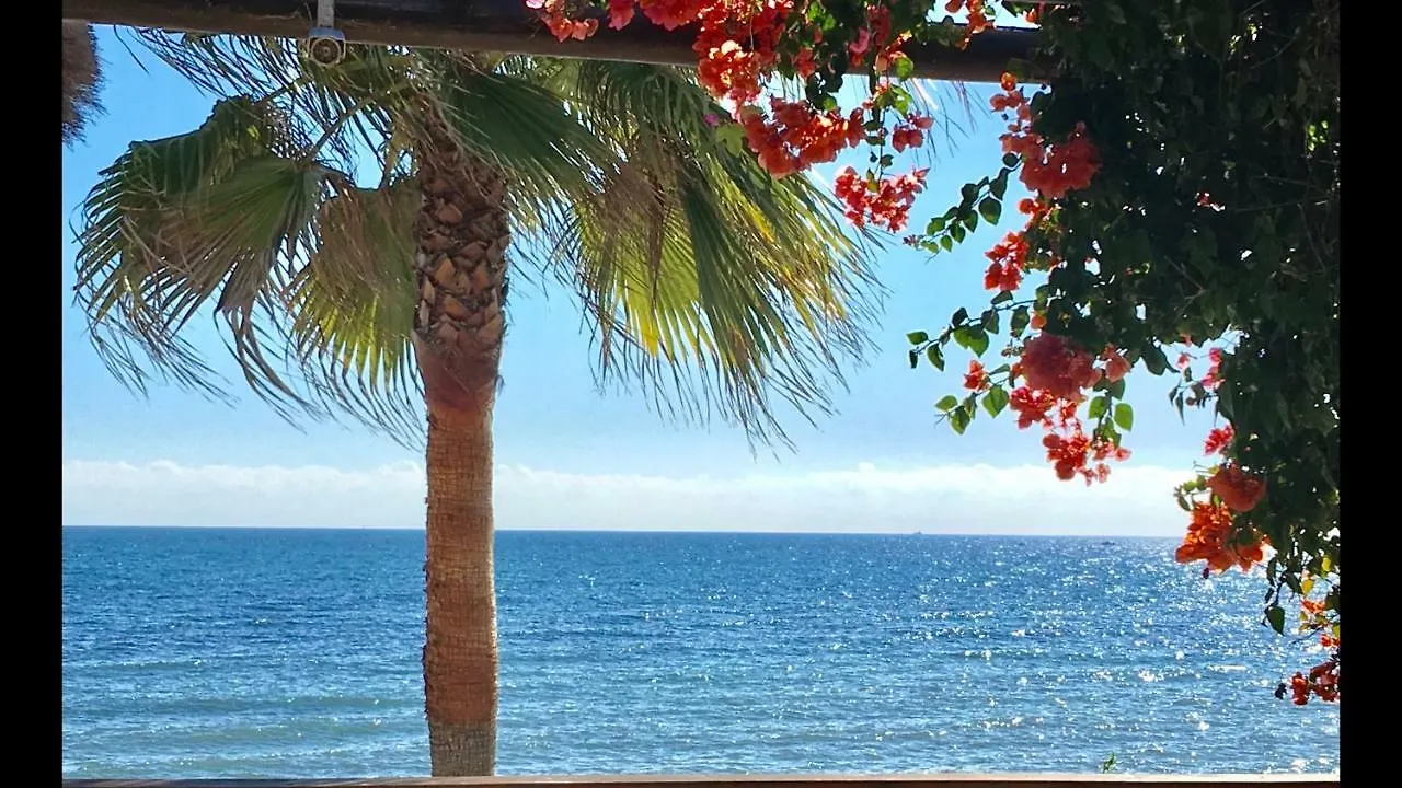 לה קאלה דה מיחאס Mi Capricho 9C Beachfront- Apartment With Sea View - Costa Del Sol
